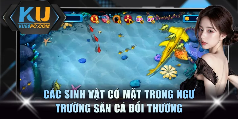 Các sinh vật có mặt trong ngư trường săn cá đổi thưởng